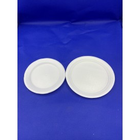 Biodegradable plastic plate