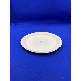 Biodegradable Plate
