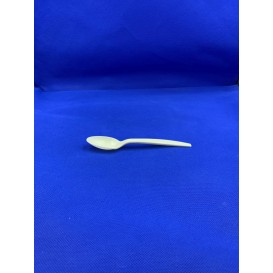Biodegradable Spoon