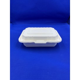 Biodegradable Square Box