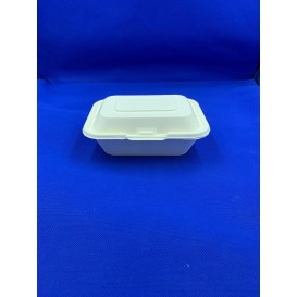Biodegradable Rectangle Box
